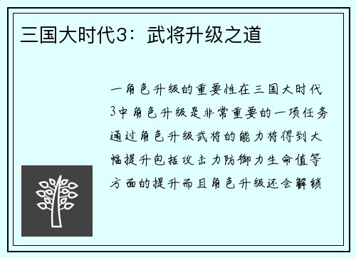 三国大时代3：武将升级之道