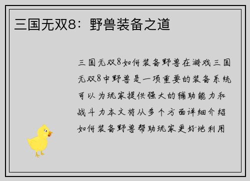 三国无双8：野兽装备之道